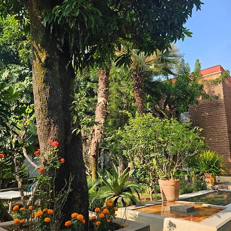 فندق Casa Limon مالينالكو المظهر الخارجي الصورة