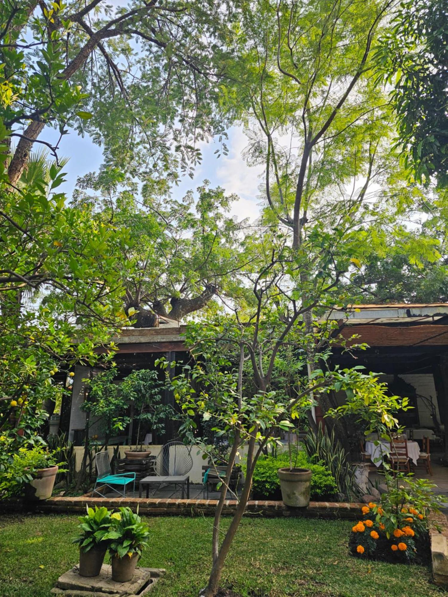 فندق Casa Limon مالينالكو المظهر الخارجي الصورة